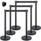 Crowd Control Stanchion Set, Retractable Black Belts & Stable Weighted Bases, Durable Queue Barrier System