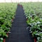 4ft X 100ft Weed Block Landscape Fabric HeavyDuty Woven Geotextile Ground Cover For Gardening 0