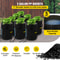 Deep Water Culture DWC Hydroponic System, Gallon Bucket Grow Kit with Air Pump, Stones, & Water Level Device