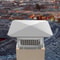 Stainless Steel Chimney Cap, Flue Caps with Adjustable Bolts, Durable Mesh Fireplace Chimney Cover, Weatherproof Spark