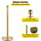 Premium Crowd Control Stanchion Set with Red Velvet Rope, Gold Stainless Steel Posts & Heavy-Duty Base
