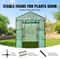 WalkIn Greenhouse With Shelves Portable Outdoor Plant House With Steel Frame PE Cover 2