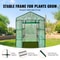 WalkIn Greenhouse With Shelves Portable Outdoor Plant House With Steel Frame PE Cover 2