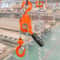 Manual Lever Chain Hoist 10ft Heavy Duty Come Along with Hook & Dual Brake