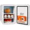 Portable 10L Mini Fridge Cooler & Warmer for Home, Office, Dorm & Travel