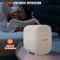 4L Portable Skincare Makeup Fridge ACDC Cooler Warmer Tiny Refrigerator 4
