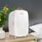 Portable Skincare Cosmetic Mini Fridge 6L With LED Mirror 6