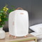 Portable Skincare Cosmetic Mini Fridge 6L With LED Mirror 6