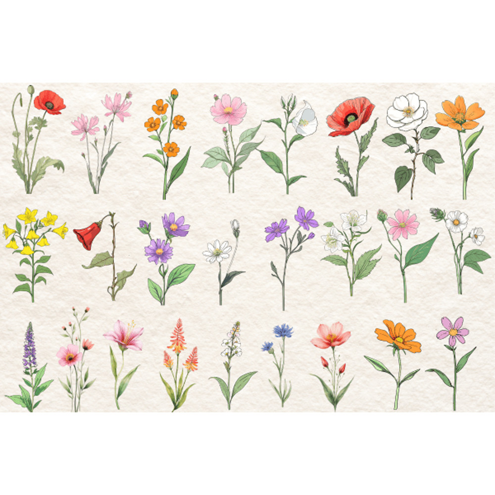 Watercolor Wildflowers Cliparts 25 Png Transparent 1