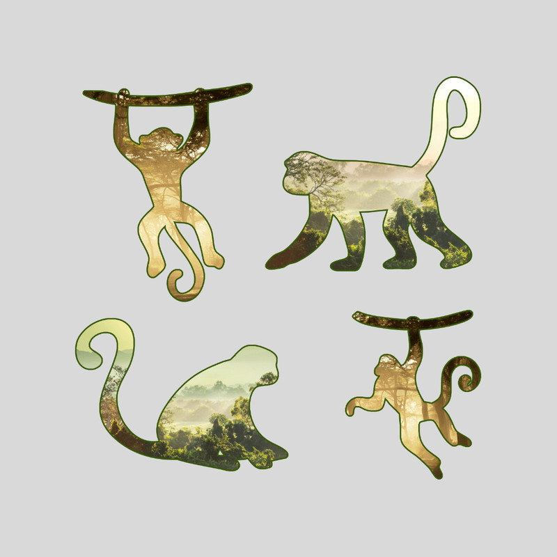 Monkeys Print Clipart Png 3
