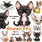 Cute Devon Rex Cats Png 15 Cartoons Cliparts Set 0