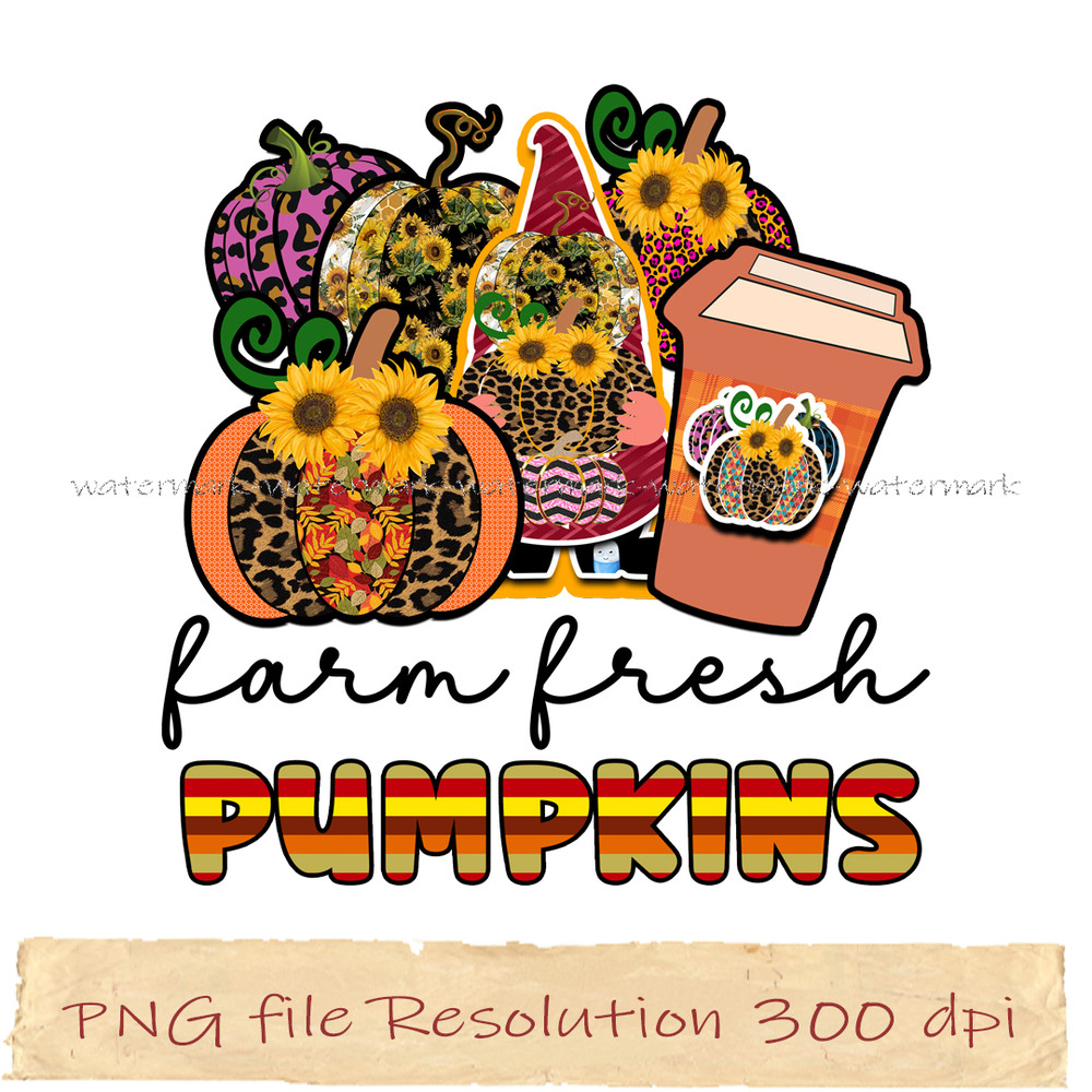 farm fresh pumpkins.jpg