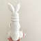 Cute Easter Bunny Penis Crochet Easy Pattern PDF Download Adult Sexy Toys Funny Easter Decoration R 4