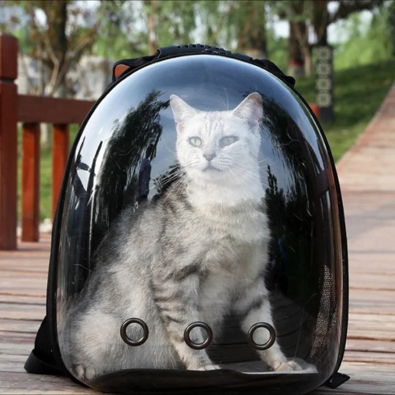 Transparent Bubble Pet Backpack Carrier For Cats And Small Dogs Space Capsule Travel Pack 0