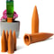 6 Pack Natural Terracotta Self Watering Spikes For Indoor And Outdoor Plants 1