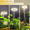 LED Grow Light For Indoor Plants With Adjustable Brightness And Timer 2