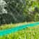 Fine Spray Garden Hose For Lawn Irrigation And Cooling 1