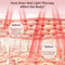 Full Body Red And Infrared Light Therapy Pad With 242 LEDs For Muscle Relief And Recovery 5