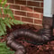 Flexible Rain Gutter Downspout Extension With Multiple Connector Sizes And Easy Installation 1