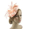 Feather Vine Cocktail Fascinator Hat For Special Occasions 10