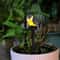 Solar Resin Bird Garden Light Outdoor Decorative Yard And Lawn Lamp 1