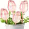 Tulip Style Self Watering Globes For Indoor And Outdoor Plants 0