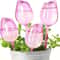 Tulip Style Self Watering Globes For Indoor And Outdoor Plants 9