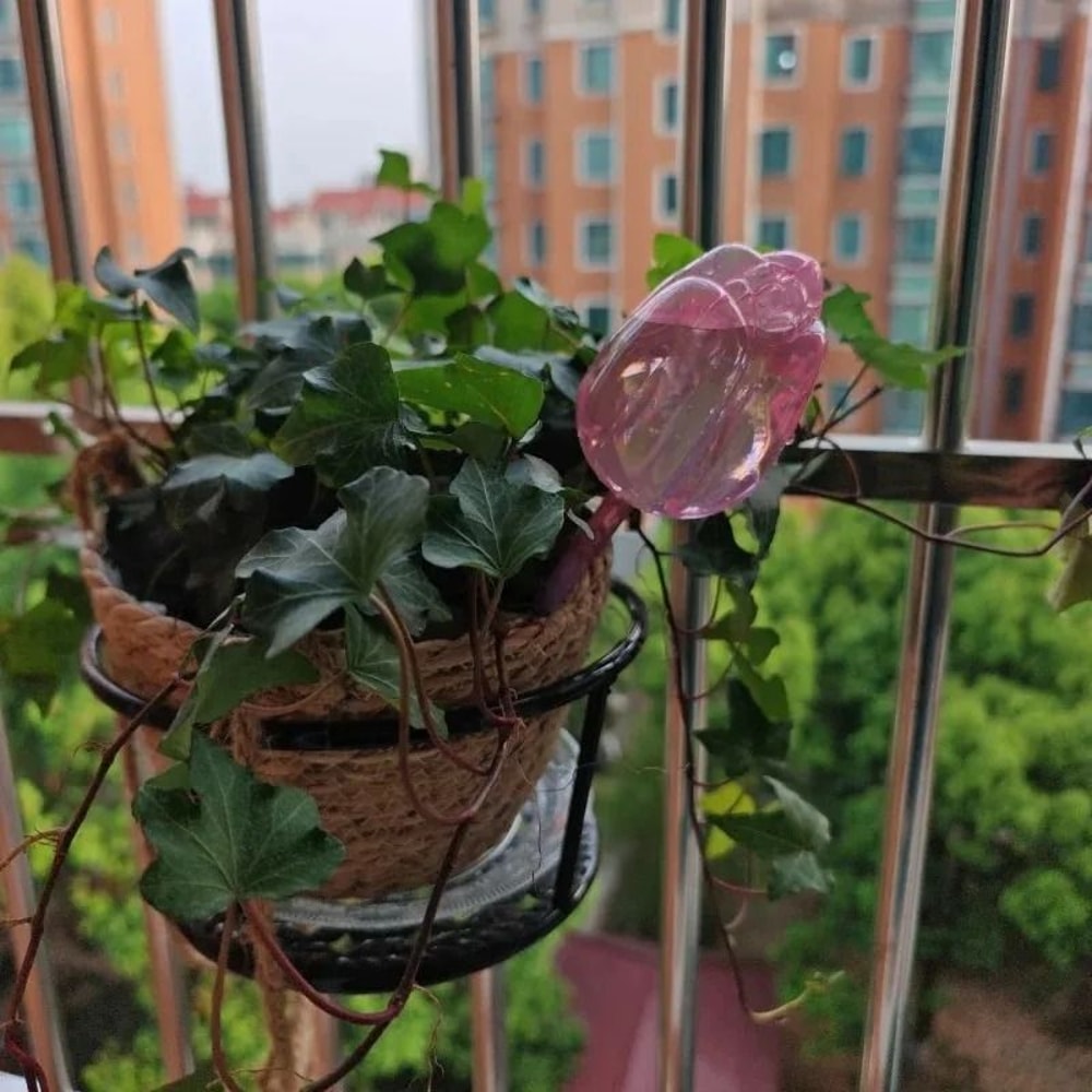 Tulip Style Self Watering Globes For Indoor And Outdoor Plants 4