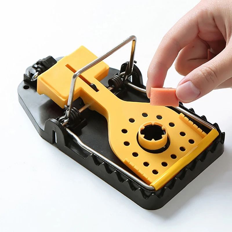 Universal Humane Mouse Capture Trap Set Of Four 1