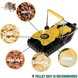 universal humane mouse capture trap set of four