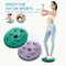 Waist Twisting Disc Magnetic Massage Body Trainer 2