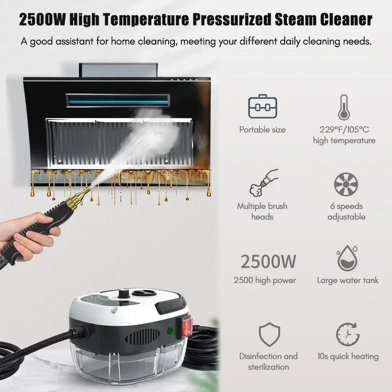 Portable High Power Steam Cleaner For Home And Auto 1