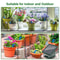 Solar Drip Irrigation Kit For Easy Garden Watering 4