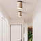 Modern Travertine Ceiling Lamp 1