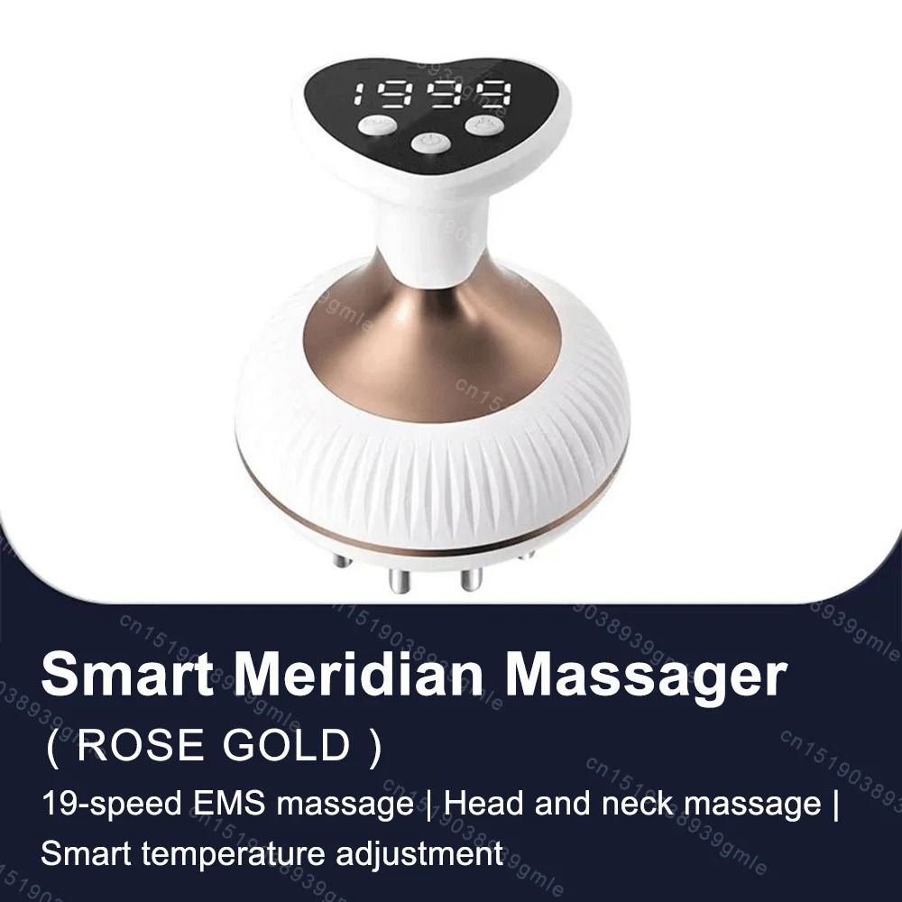 Electric Meridian Massage Tool 6