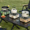 Portable High Firepower Camping Gas Stove 4