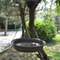 Hanging Outdoor Bird Feeder And Water Bath Tray 6