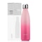 Stainless Steel Vacuum Bottle 500 Ml Insulated Sports Flask 5