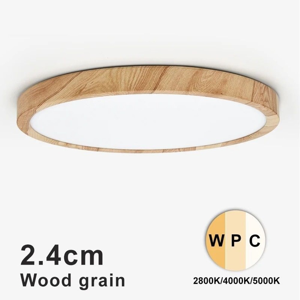 Modern LED Ceiling Light One Light With Three Color Modes 0