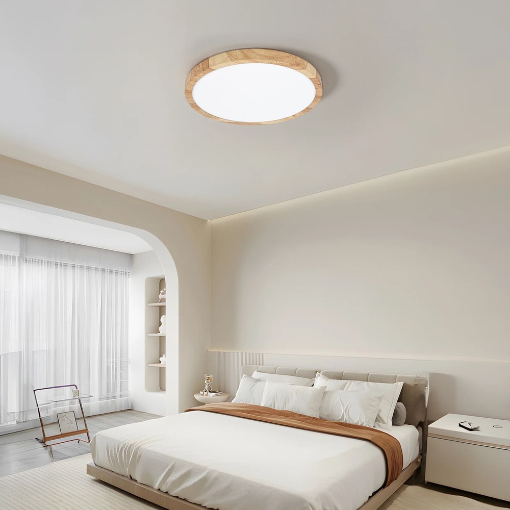 Modern LED Ceiling Light One Light With Three Color Modes 4
