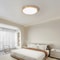 Modern LED Ceiling Light One Light With Three Color Modes 4