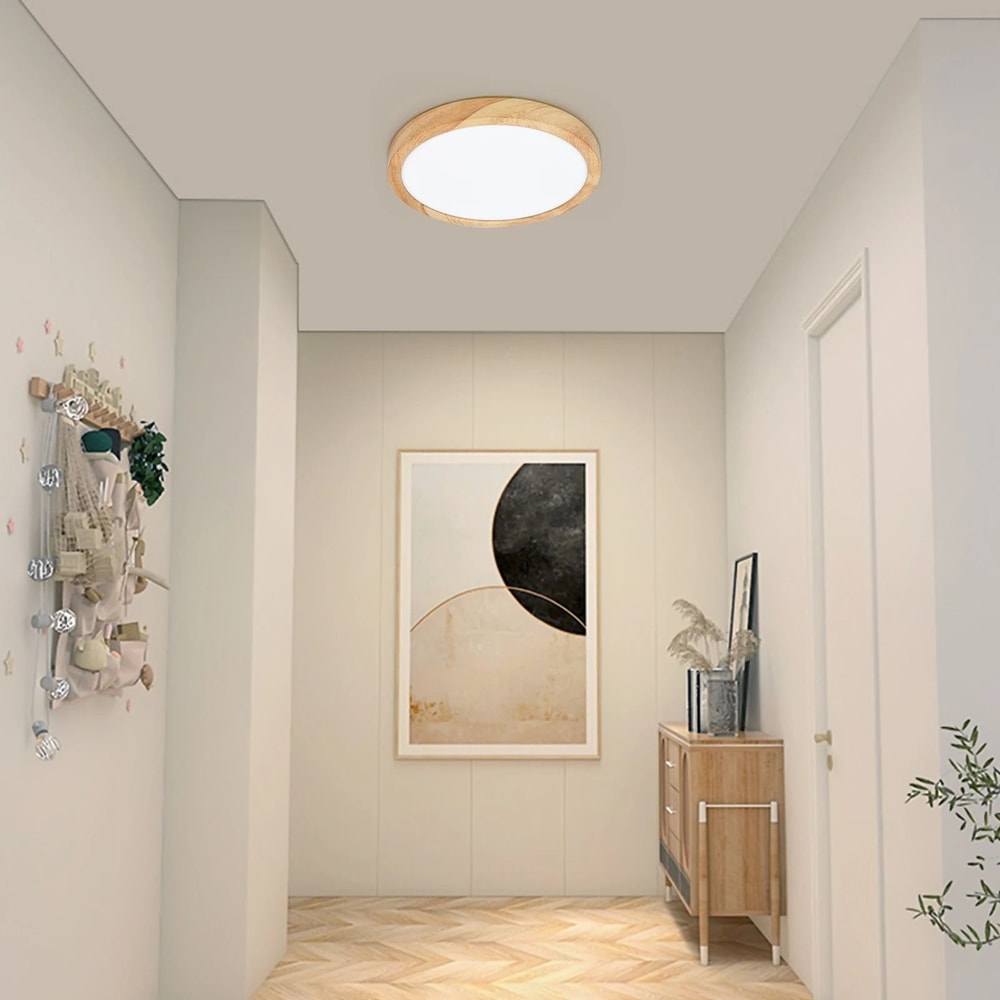 Modern LED Ceiling Light One Light With Three Color Modes 5