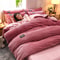 Thick Velvet Duvet Cover Set For Warm Winter Bedding 5