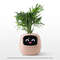 Interactive AI Smart Planter With Expressions And Sensor Technology 4