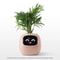 Interactive AI Smart Planter With Expressions And Sensor Technology 4