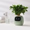 Interactive AI Smart Planter With Expressions And Sensor Technology 6
