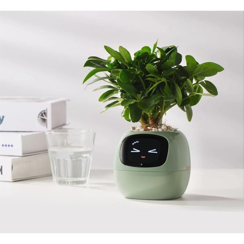 Interactive AI Smart Planter With Expressions And Sensor Technology 6