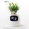 Interactive AI Smart Planter With Expressions And Sensor Technology 7