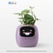 Interactive AI Smart Planter With Expressions And Sensor Technology 8
