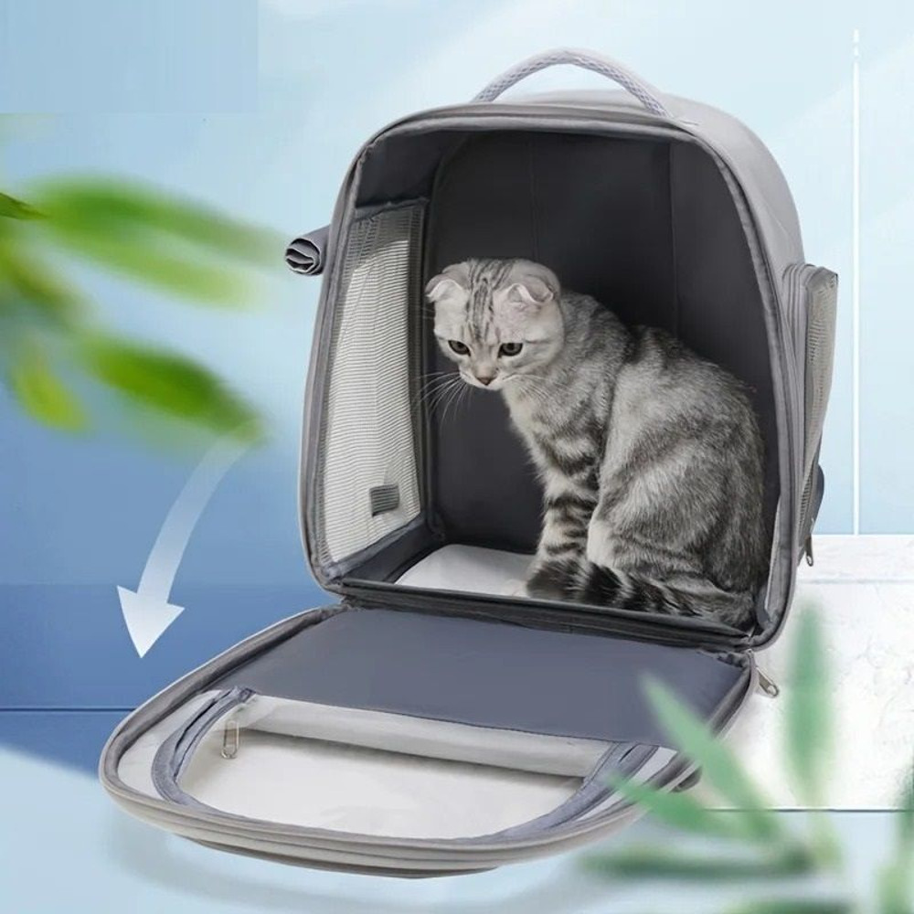 Transparent Bubble Pet Backpack Carrier For Cats And Dogs 3